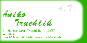 aniko truchlik business card
